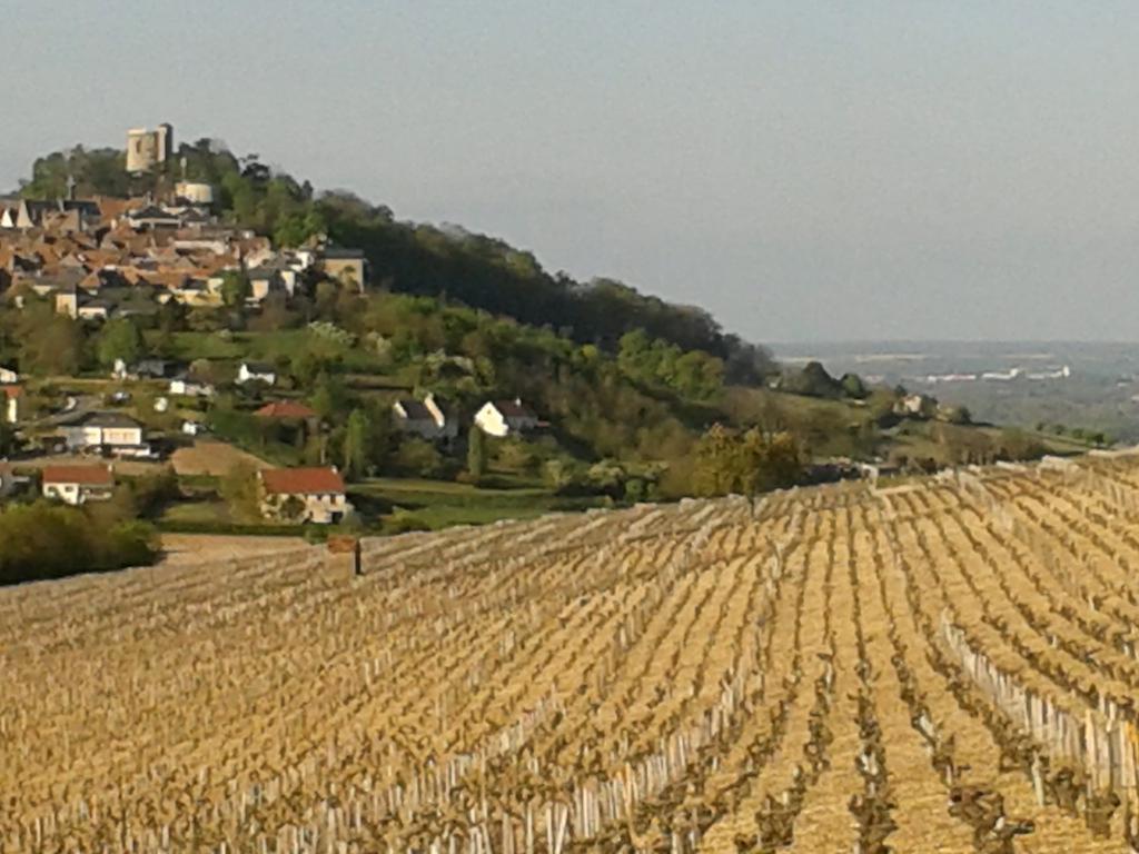 Le Clos Saint Martin Hotel Sancerre Exterior photo